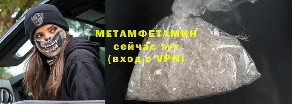 прущие грибы Белокуриха