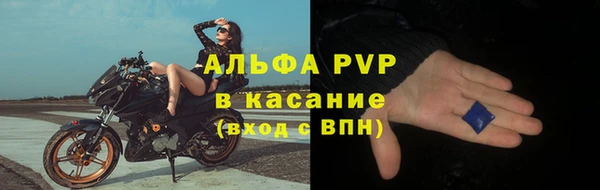 прущие грибы Белокуриха