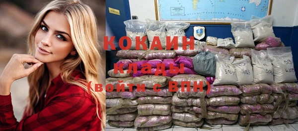 прущие грибы Белокуриха