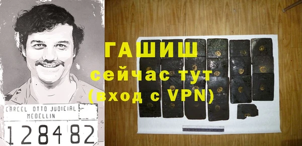 прущие грибы Белокуриха