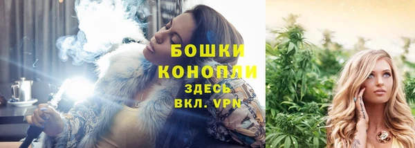 прущие грибы Белокуриха