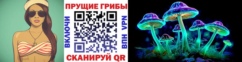 сколько стоит  Саяногорск  мега вход  Галлюциногенные грибы Psilocybine cubensis 
